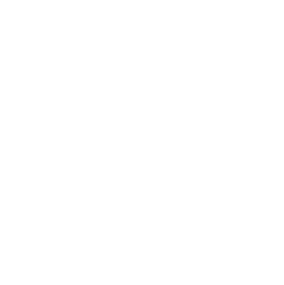 ICON - water
