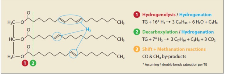  Renewable feedstock hydrotreatment mechanism